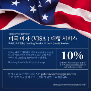 Lunch / VISA / Landing Service