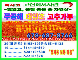 맛있기로 소문난 무공해 태양초 고추가루!