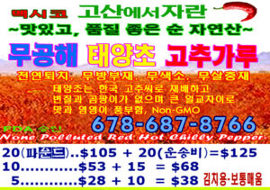 선물용 으로 도 좋은 멕시코 고산 무공해 태양초 고추가루!